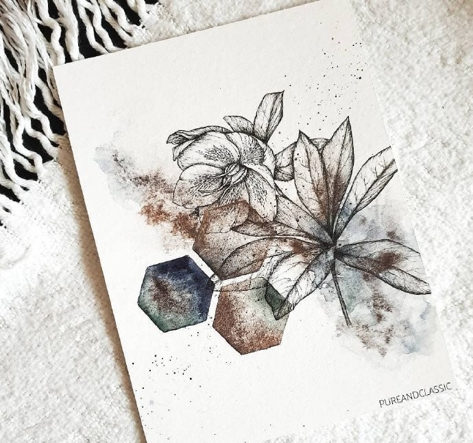 一组高级灰水彩植物插画分享!