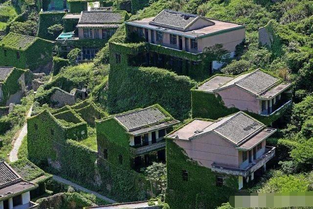 浙江海岛无人村成片石头屋被爬山虎包围宛如现实版绿野仙踪