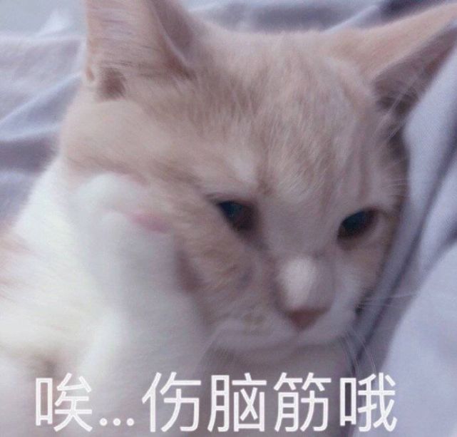 表情包丨明天就放假了,约吗