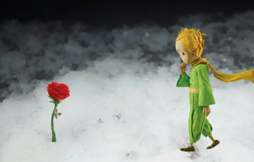为何小王子知道自己的玫瑰不是唯一,依旧不爱人间的