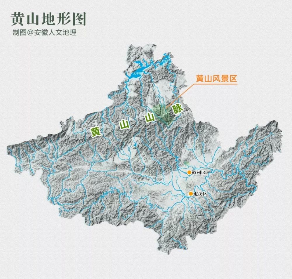 黄山松并非黄山所专有在我国的华东,华中以及台湾地区均有分布其