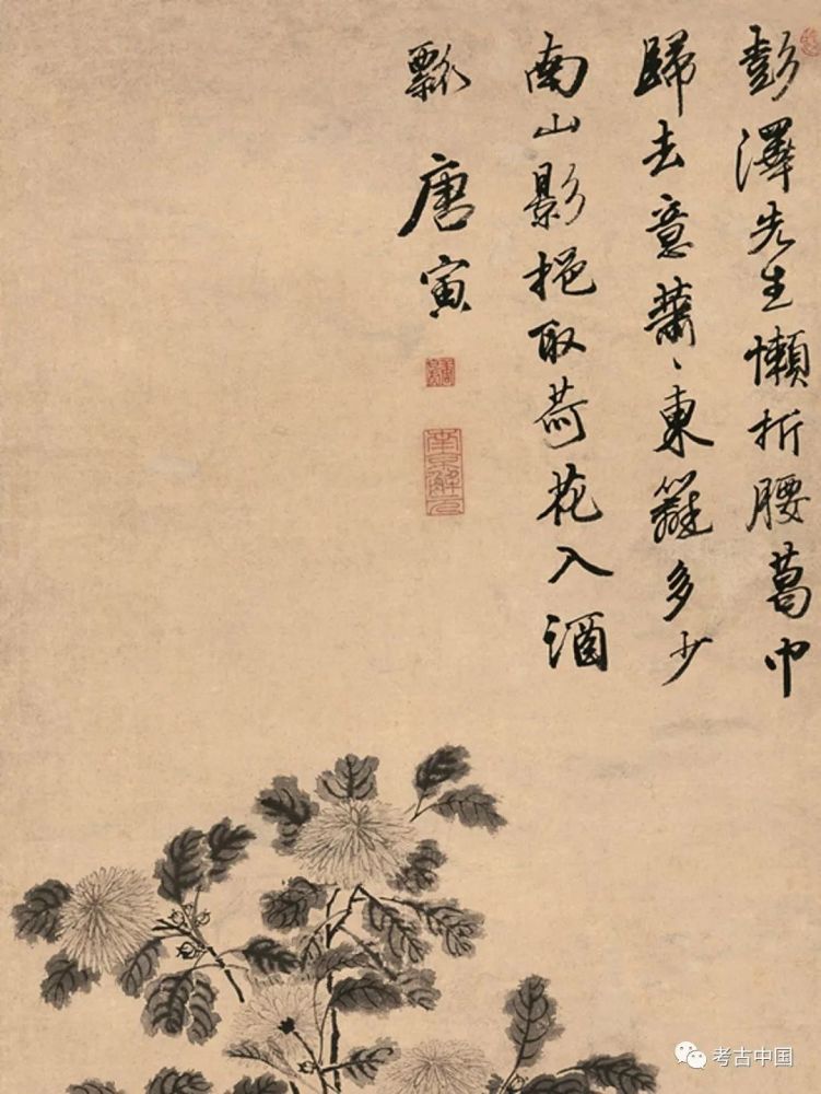 唐寅作纸本墨笔画 画中描绘的菊花与岩石题材,是历代文人比较喜爱的