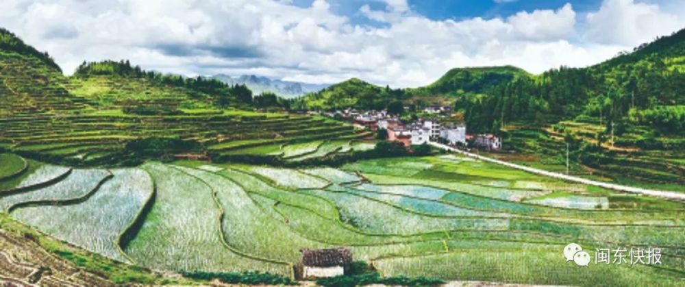 托溪田园风光 初秋,驱车行驶在寿宁县寿政二级公路托溪乡连接线,只见