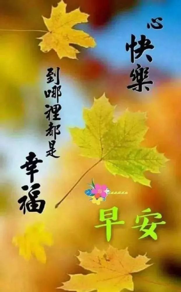 早上好问候语录秋天微信群发早安祝福图片正能量心语励志关心句子温馨