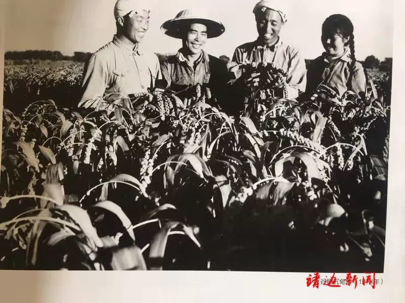 全国人大代表靖边常维华和平年代的真心英雄
