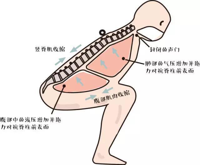 健身必备,5个动作技巧,让你瞬间掌握大部分的力量训练动作