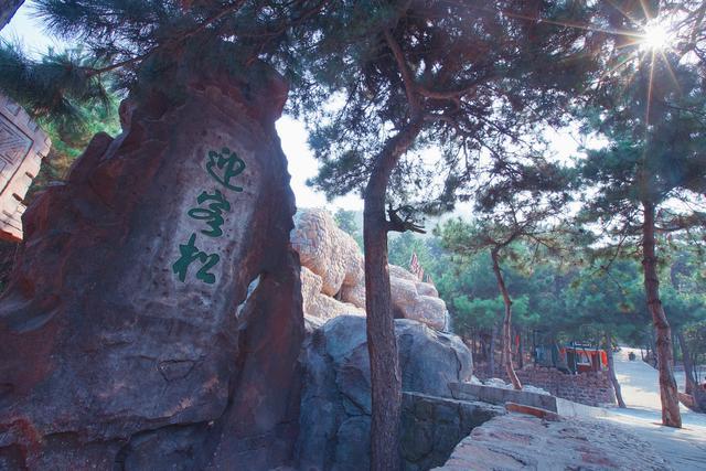 三天两晚周边游,唐山特色住宿,吃超甜板栗,拜访世界
