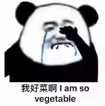 表情包|我还是不找你了,免得你又笑话我离不开你