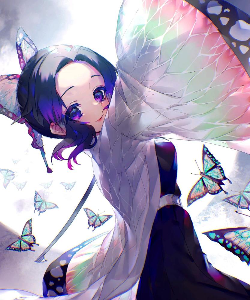 《鬼灭之刃》精选美图集(蝴蝶忍篇)