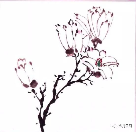 中国写意画超细致讲解 花卉综合篇:红玉兰