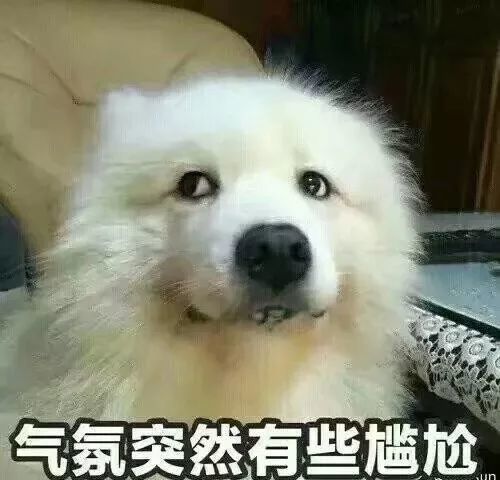 表情包你是不是外面有狗了