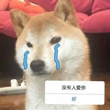 表情包你是不是外面有狗了