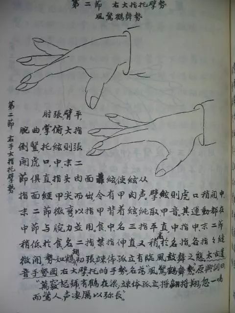 猿鹤双清曲谱_猿鹤双清古琴谱(5)