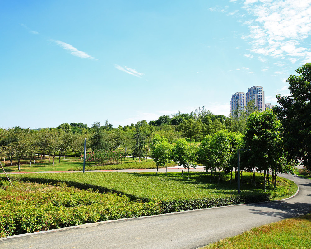 重庆公园:渝北区中央公园,四季绿意盎然,主城人最喜欢