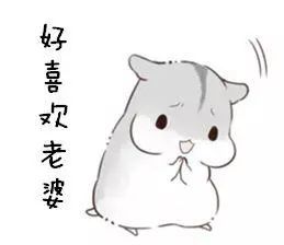 参见老公表情包参见群主表情包