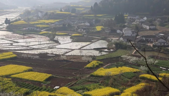 当然,天子村虽然隶属于重庆市合川区古楼镇,但村民们与古楼镇的联系并