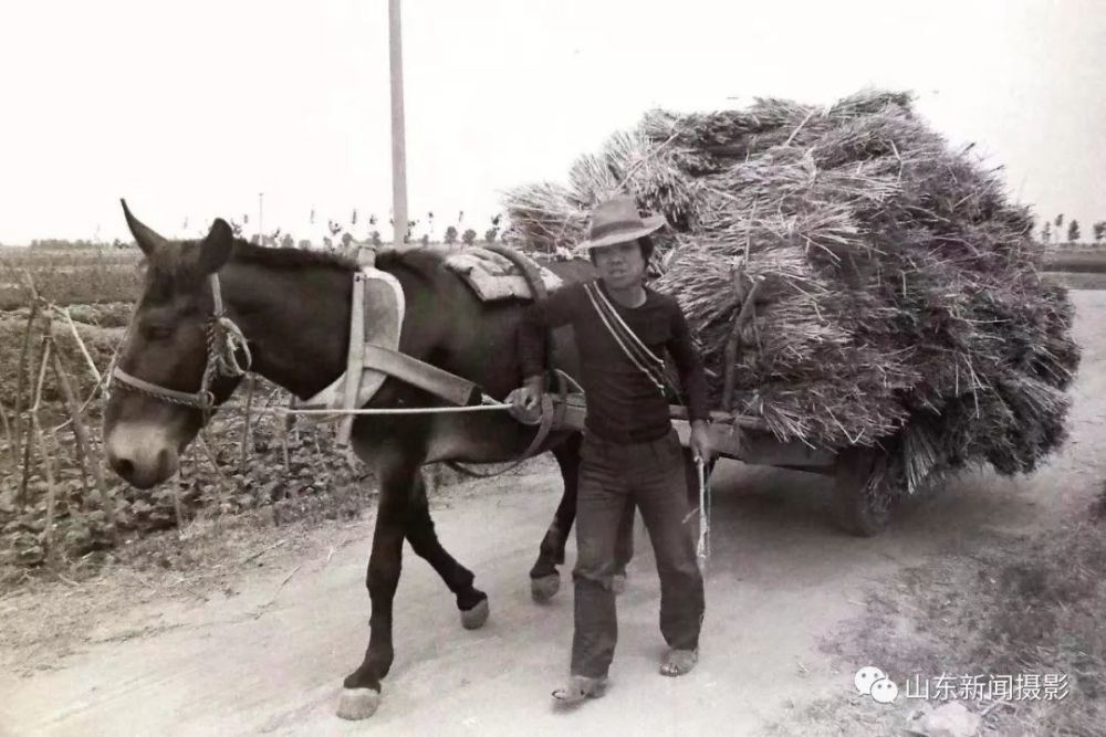 新中国成立70周年看看尘封已久的老照片