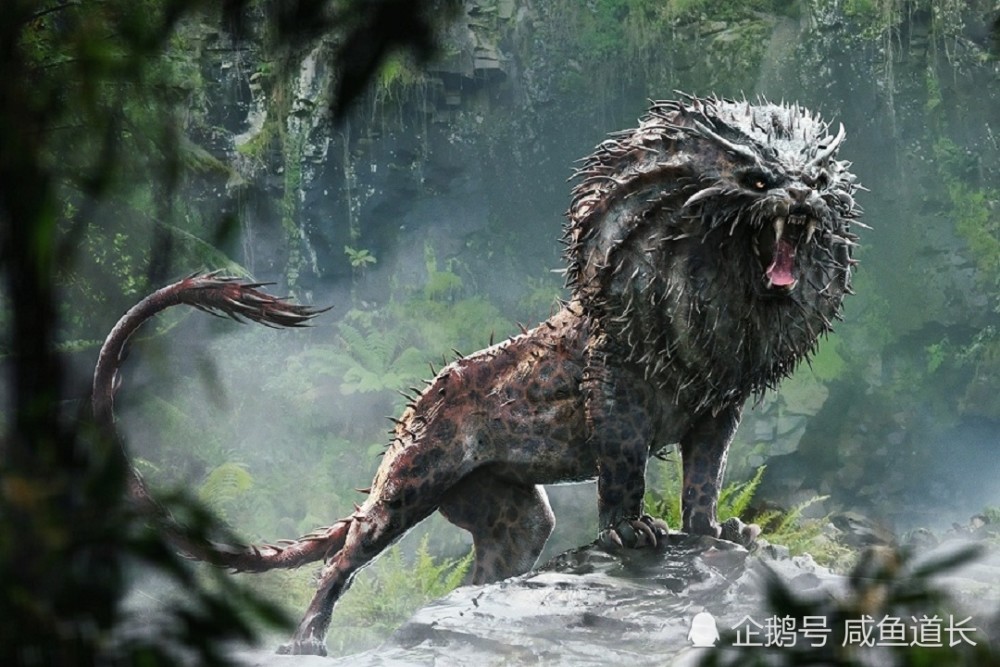 一只狗两个柿子是什么成语_柿子是什么样子的(2)