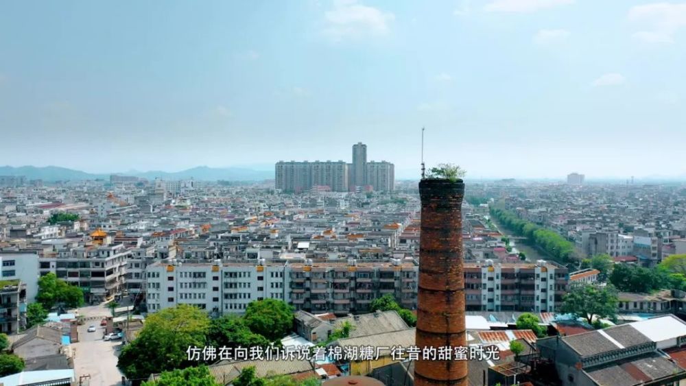 《航拍揭阳·棉湖:木棉挺拔云湖畔,千年古镇风景独好