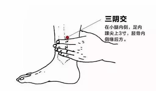 寒凝则气血凝滞,气血传递不到四肢,就容易出现手脚冰冷,而艾灸腿部