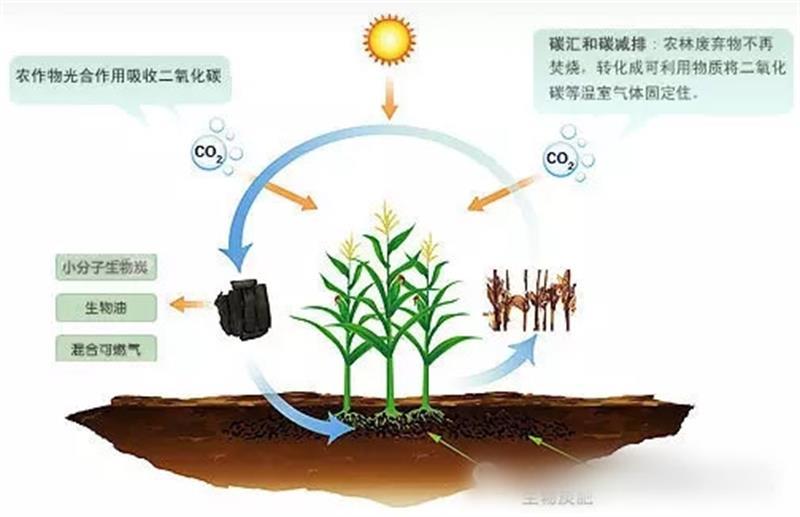 生物炭中微量元素微生物菌剂厉害了竟然可以瞬杀有机碳肥