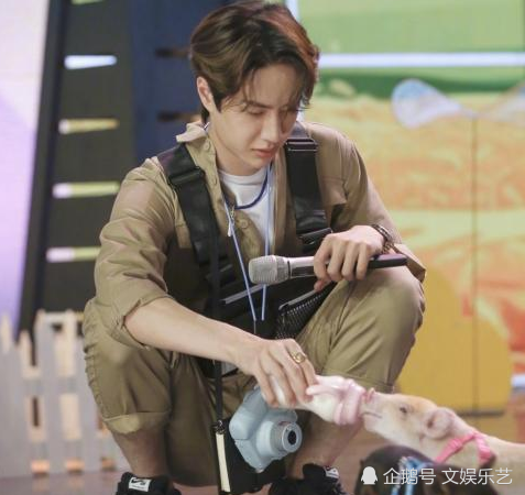 天天向上王一博在线喂猪王黑子猪奶爸也太温柔了吧