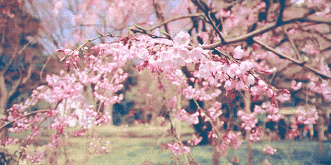 仲春伊始,正是养生好时节,三月请对自己好一点