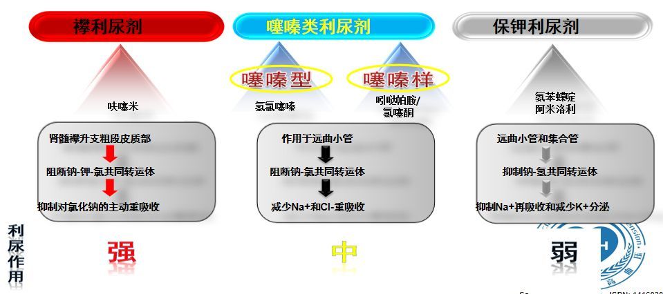 α 受体阻滞剂 7.固定复方制剂 8.