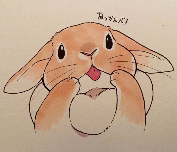 动漫图片可爱的小兔子