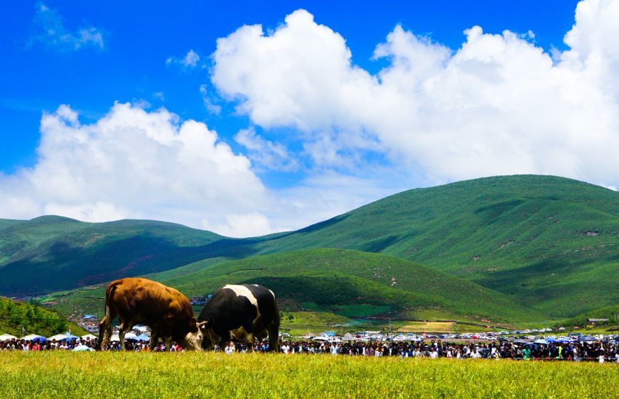 首批"大凉山旅游名镇"评选之 昭觉县尼地乡