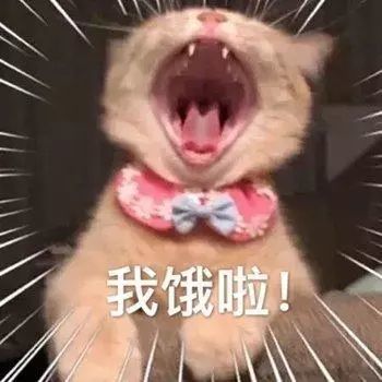 关于饿的表情包居然饿醒了果然帅不能当然吃