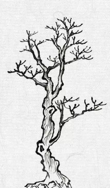山水画教程:树的不同形态画法,简单易学,快收藏!