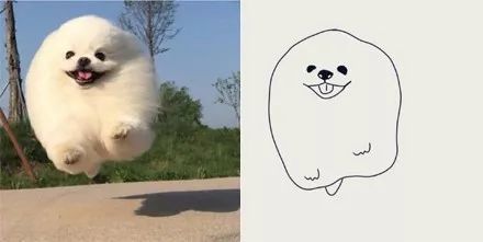 网友用简笔画来画狗狗,画风虽然沙雕,但却抓住了精髓!