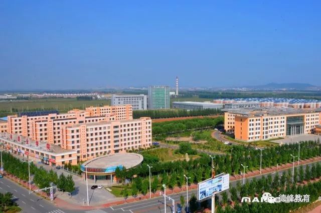 山东职业学院排行榜_山东理工职业学院(5)
