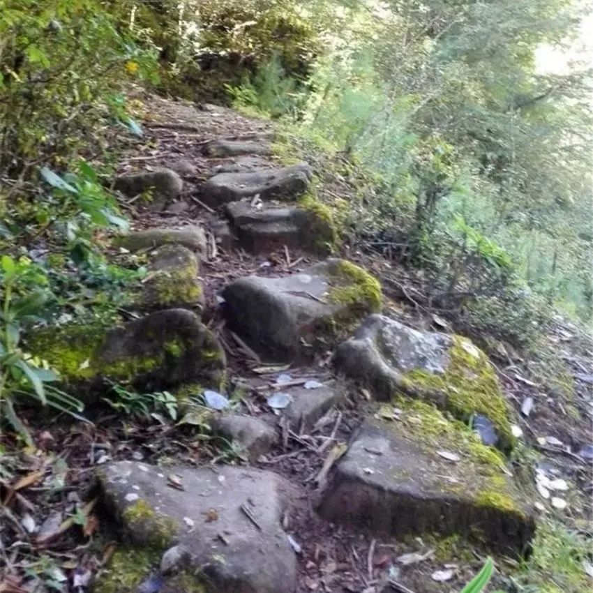 走,百年盐马古道