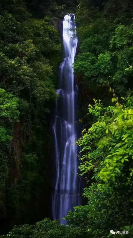 万水千山最念灵山