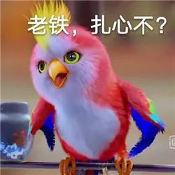 搞笑楚乔传小鹦鹉苍梧鸟表情包,老铁,扎心不?