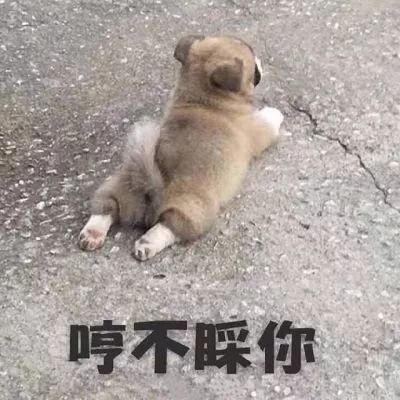 『小男神表情包』忘了他,我拉货养你