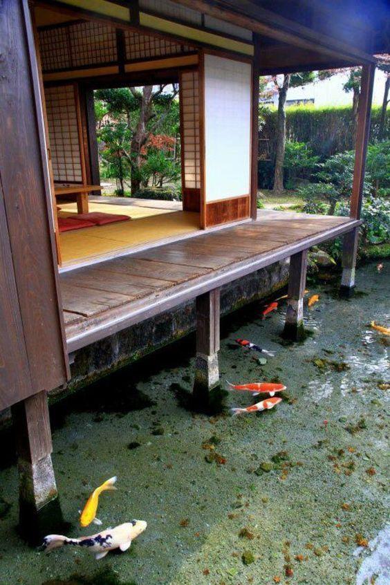 在院子做鱼池都不算什么了,日本房屋直接建水上,房子
