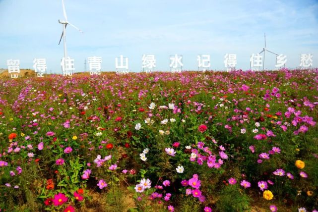 从花海向南走,就是徐镜心的故居,黄山馆镇后徐家村.