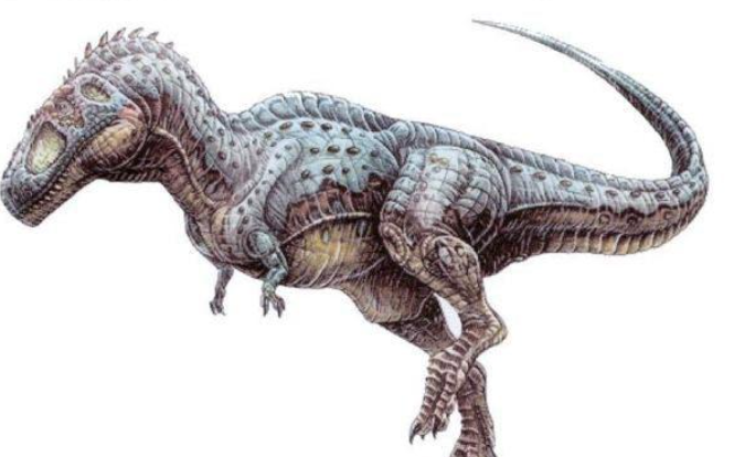 恐龙"五巨头"中的顶级猎杀者,马普龙和魁纣龙之间谁更厉害?