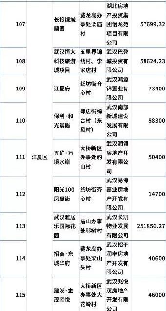 东湖新技术开发区gdp(2)