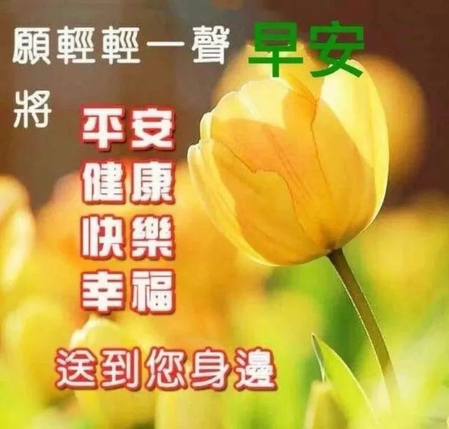 清晨祝福朋友早上好语录句子大全 微信群发早安问候语