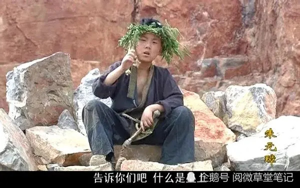 论明太祖朱元璋的发家之路——穷小子如何做得天朝天子