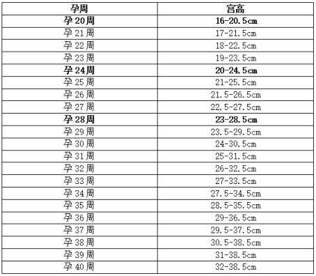 孕期产检:妊娠宫高,你的指数标准吗?