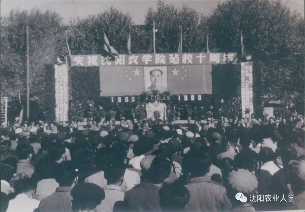 看67年岁月里的沈农