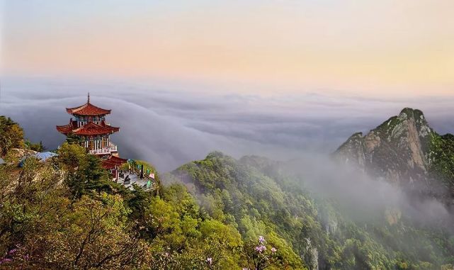 免门票！赶紧去！这次是洛阳这家5A级景区