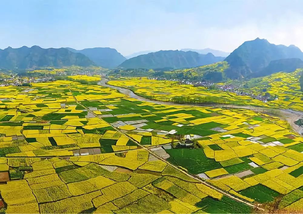 太棒了!2020年油菜花节主会场在城固