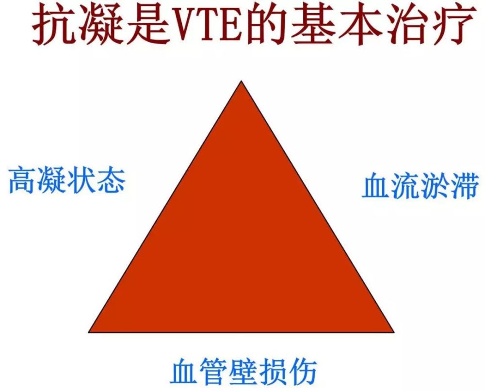 马壮教授面对vte魏尔啸三角溶栓手术介入均非基本治疗唯有抗凝才能稳