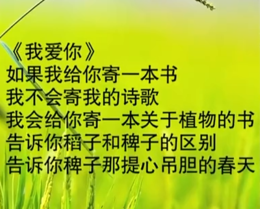 老梁对余秀华诗的诗歌《我爱你》中的一句,表示"告诉你稗子那提心吊胆